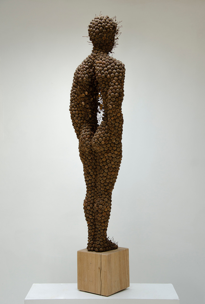 Sentinel; Acorn cups, mixed media