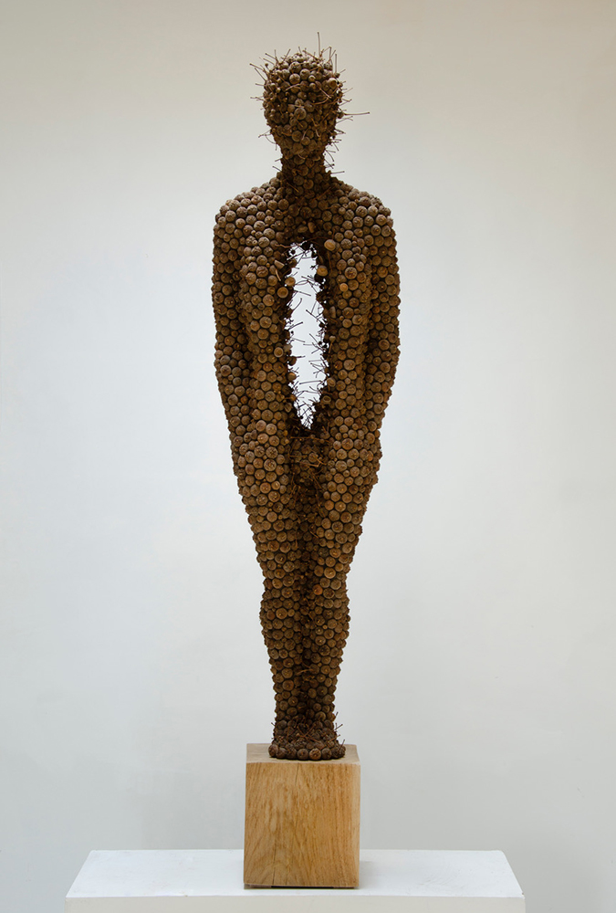 Sentinel; Acorn cups, mixed media