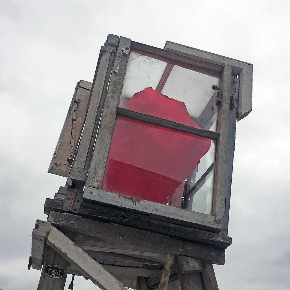 Specimen, Plaster, wood, glass