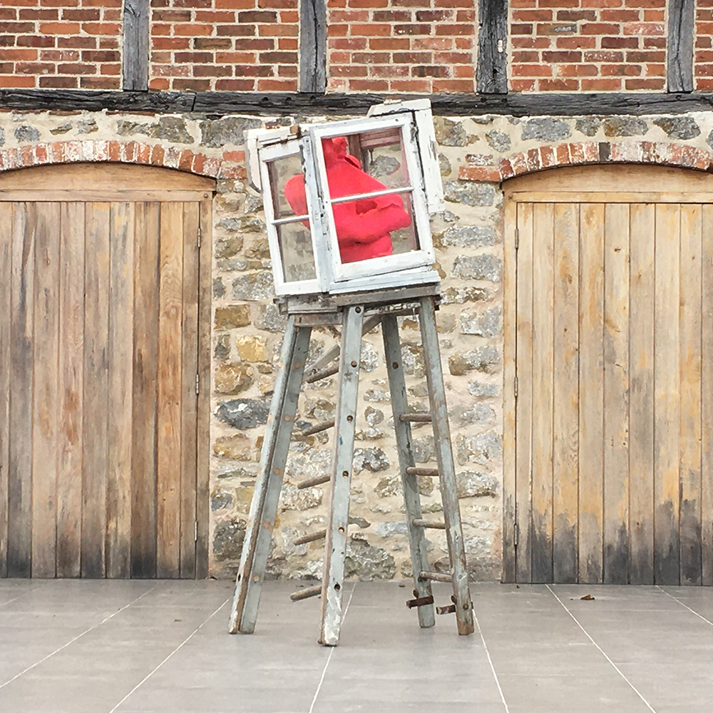 Specimen, Plaster, wood, glass